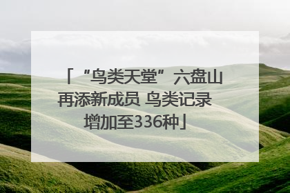 “鸟类天堂”六盘山再添新成员 鸟类记录增加至336种